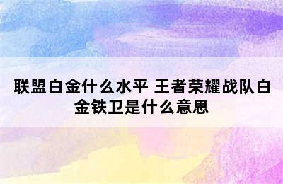 联盟白金什么水平 王者荣耀战队白金铁卫是什么意思